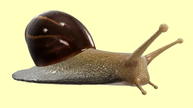 Escargots